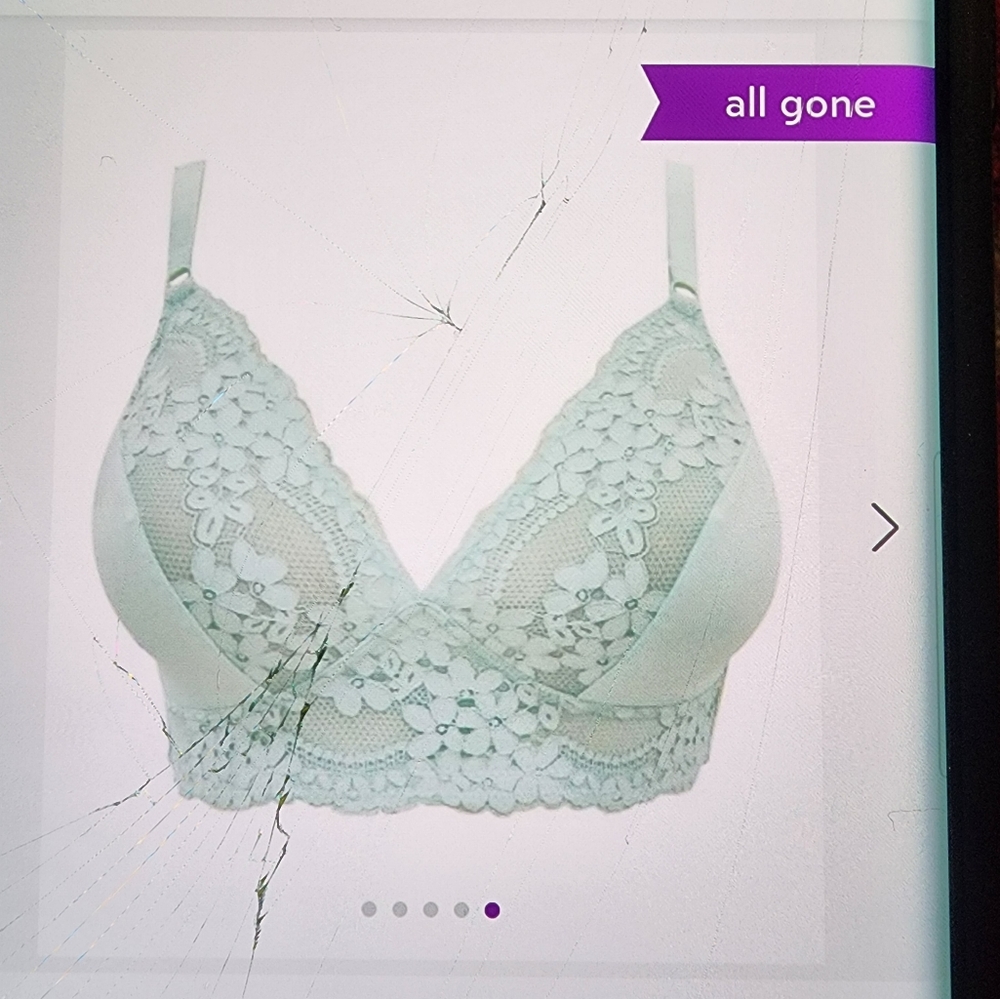 Light Blue Ciara floral bralette size 34dd